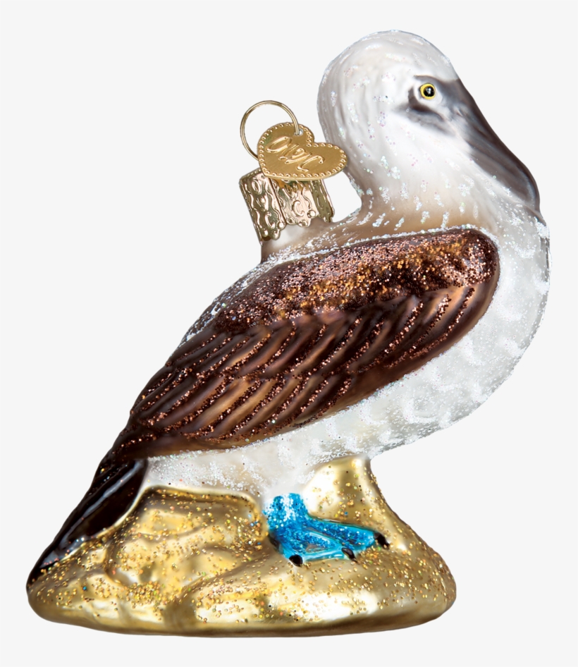 Old World Christmas Blue Footed Booby Glass Blown Ornament, transparent png