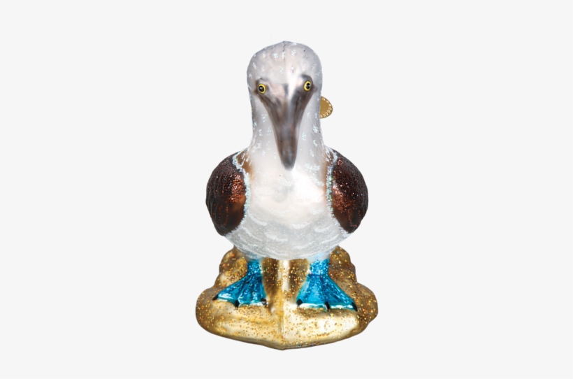 Blue Footed Booby Bird Glass Christmas Ornaments - Old World Christmas Blue Footed Booby Glass Blown Ornament, transparent png