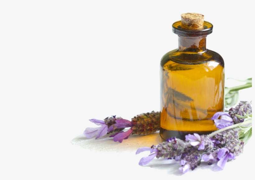Essential Oil - Essential Oils Private Packaging, transparent png