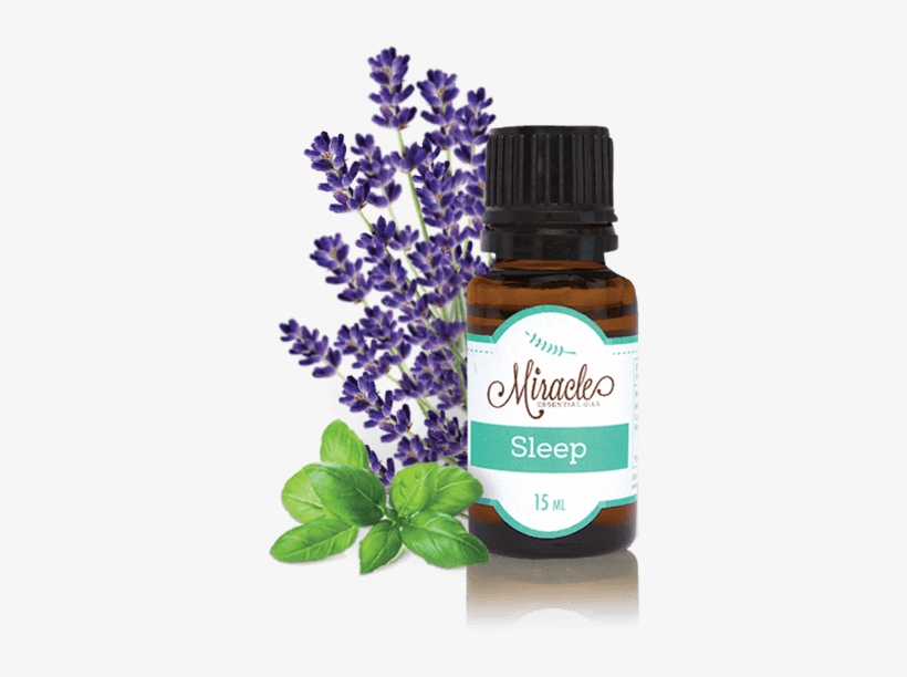 Lavender Essential Oil - Miracle Essential Oils, transparent png