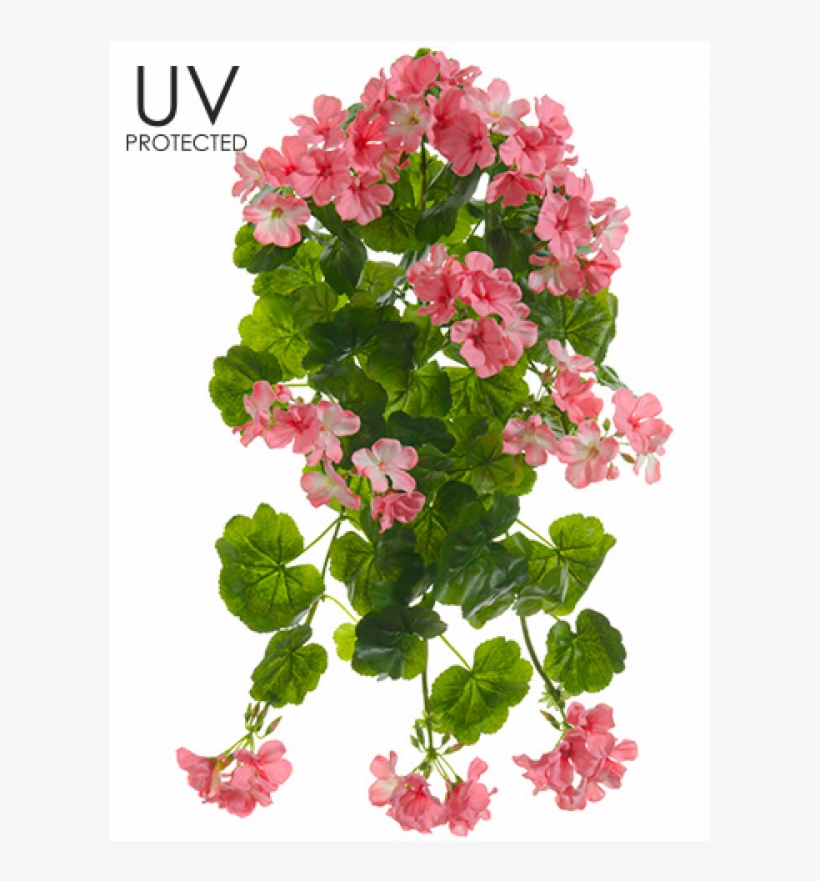 21" Uv Protected Geranium Hanging Bush Pink - Allstate Floral & Craft Uv Protected Outdoor Silk, transparent png