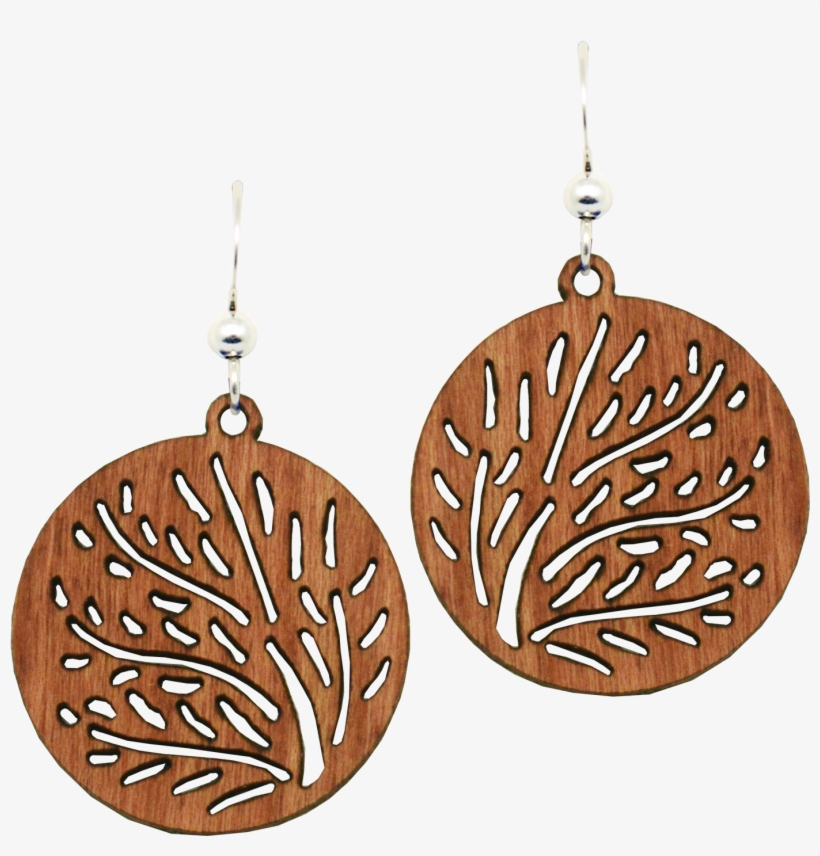 Brush Circle - Earrings, transparent png