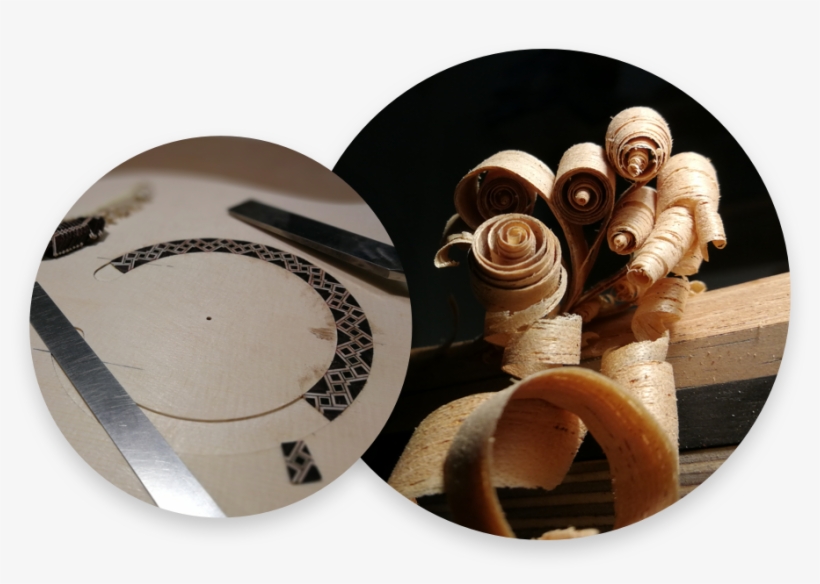 Ease, Sensitivity, Colour, Nuance, Dynamics And Precision - Shell, transparent png