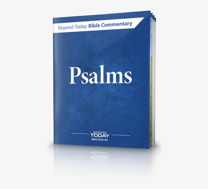 Bible, transparent png