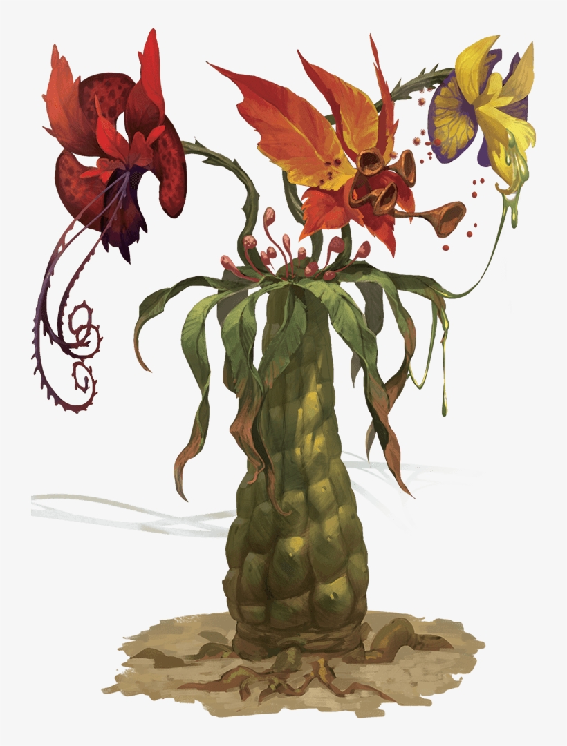 1/2 - Tomb Of Annihilation Monsters, transparent png