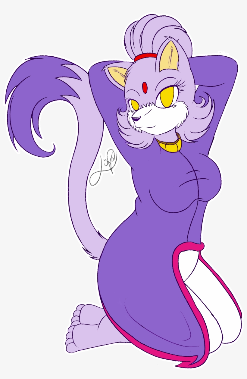 Blaze The Cat - Echidna, transparent png