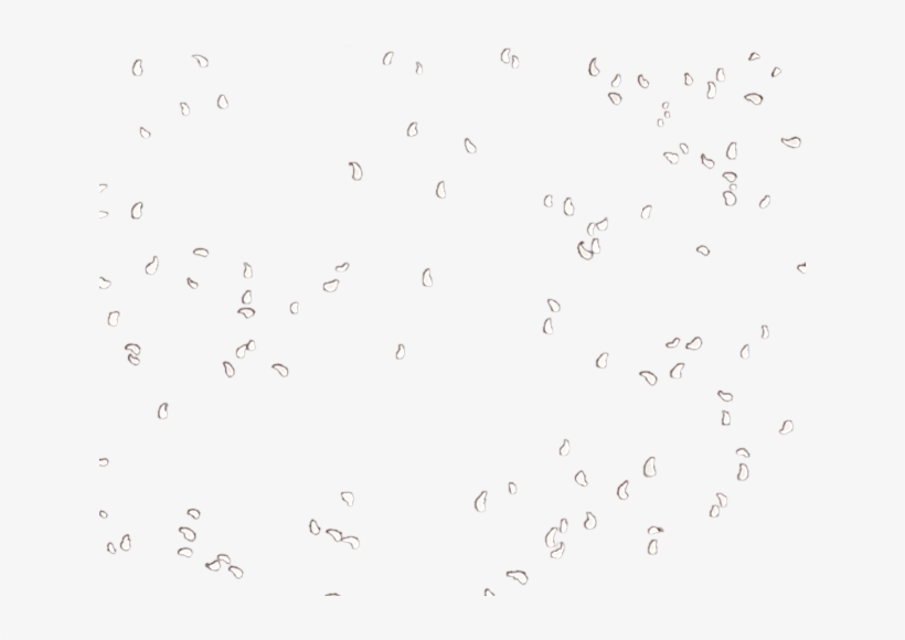 Number, transparent png