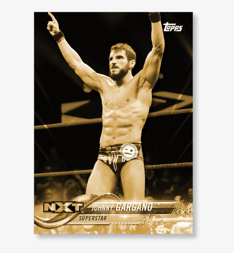 2018 Topps Wwe Johnny Gargano - Wrestler, transparent png