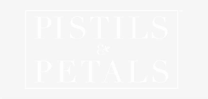 Falsa Moral, transparent png