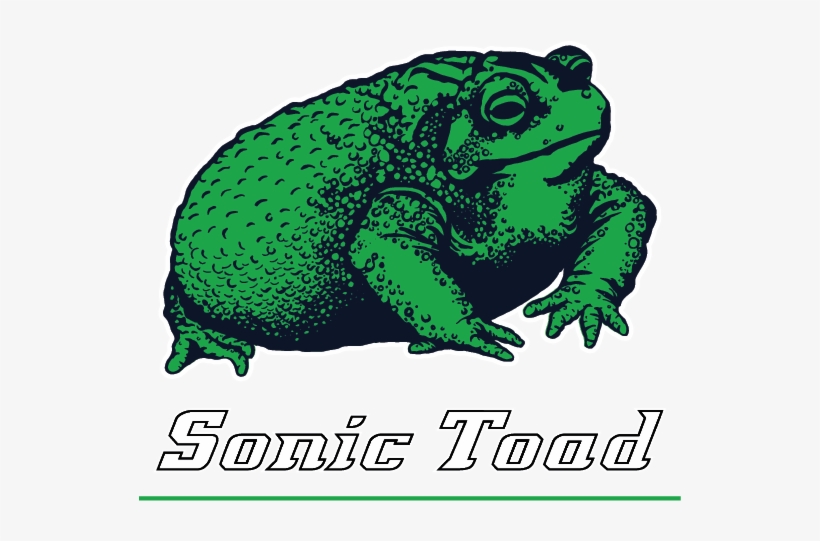 Hop To Your Success Today So You Can Chill On Your - True Frog, transparent png