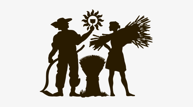 Find Beer Illustration Illustration - Ommegang Witte Ale, transparent png