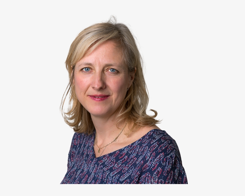 If You're On The Side Of Democracy, Nick Clegg, Why - Carole Cadwalladr, transparent png