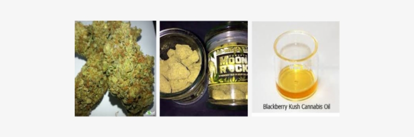 Photo - Cannabis Shop, transparent png