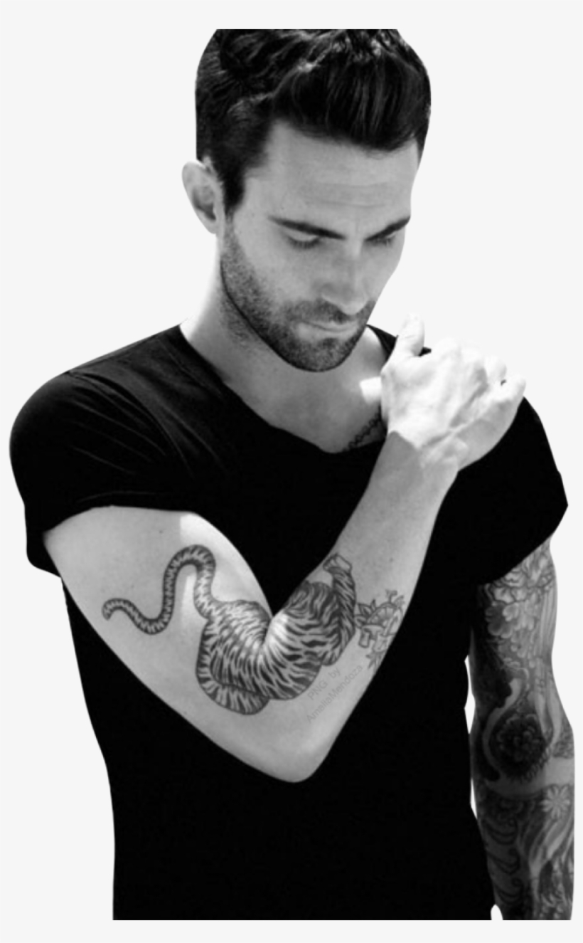 Report Abuse - Adam Levine, transparent png