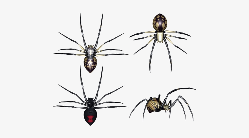 Set Of Spiders Clipart - Portable Network Graphics, transparent png