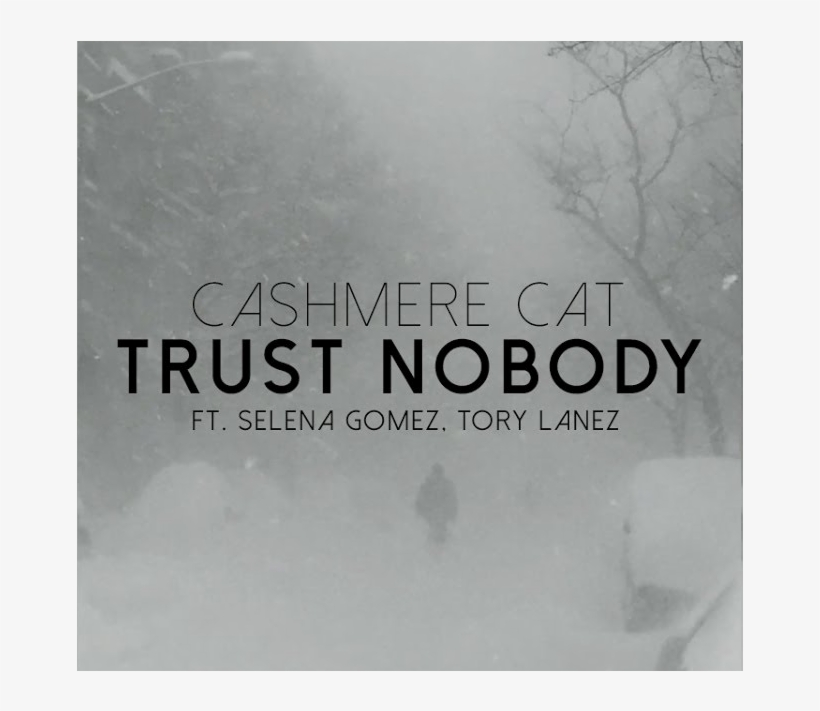 Selena Gomez, Cashmere Cat E Tory Lanez - Snow, transparent png