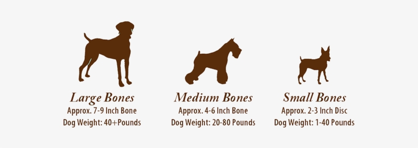 Don't Forget To Keep These Doggy Divine Delicatessens - Bull Terrier Vector, transparent png