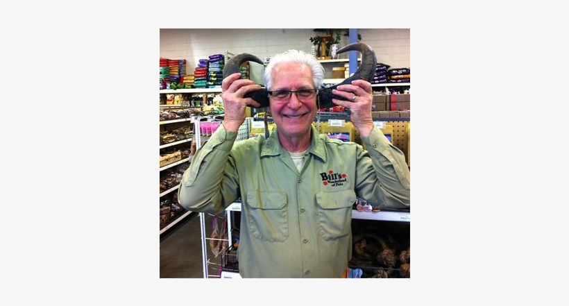 Dog Treats - New Jersey, transparent png