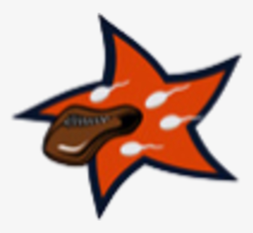 Nfl, transparent png
