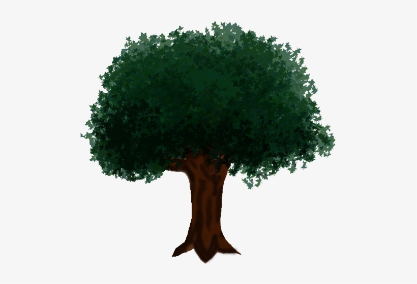 Sunday, April 18, 2004 - Oak, transparent png