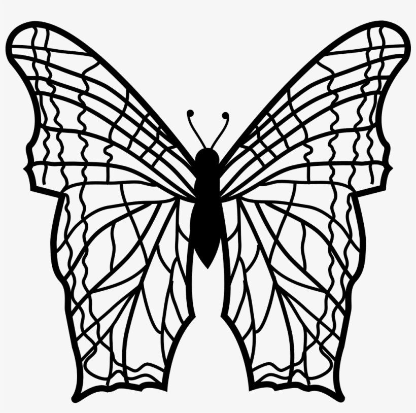 Butterfly With Complex Thin Lines Pattern Wings From - Mariposa Con Lineas Rectas, transparent png