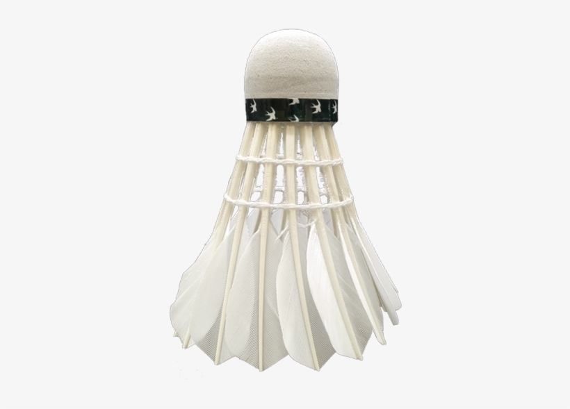 Environmentally Friendly Glue - Badminton, transparent png