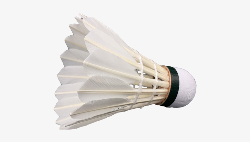 High <strong>quality</strong> &amp - Badminton, transparent png