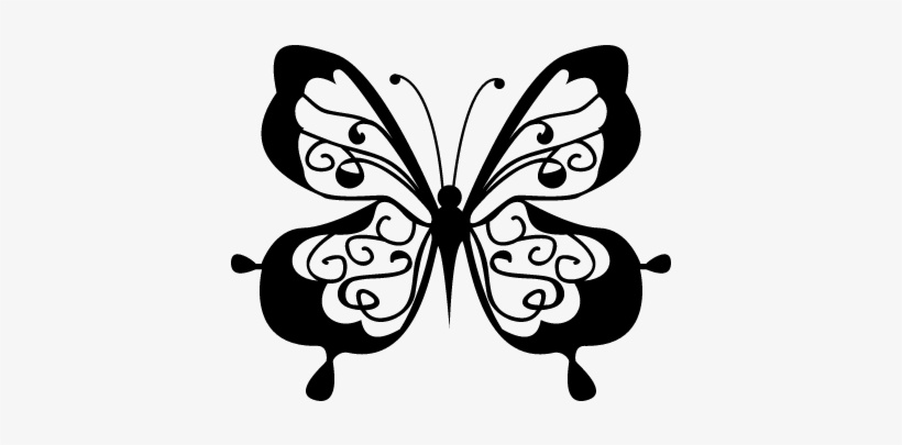 Cute Butterfly Top View Vector - Butterfly, transparent png