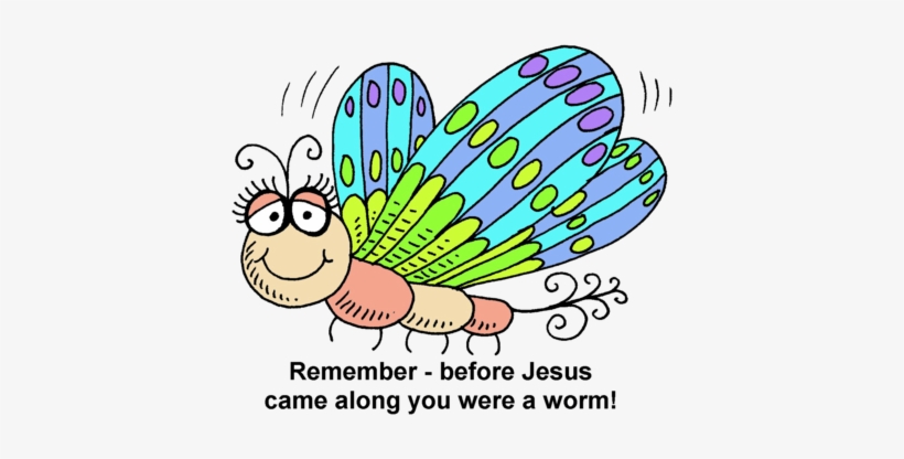 Butterfly - Drawing, transparent png