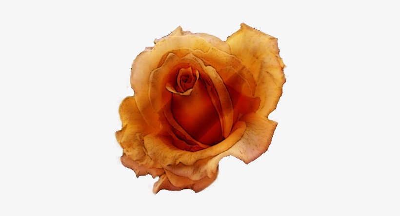 Flowers Vintage Png Scrapbooking, Scrap - Photography, transparent png