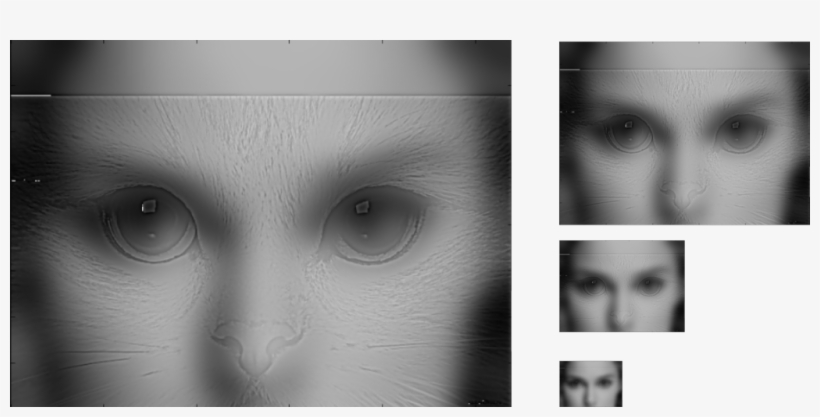 Hybrid Image Of Natalie Portman And Cat - Close-up, transparent png