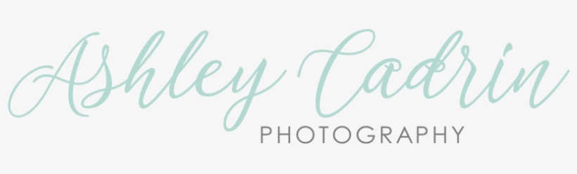 Logo, transparent png