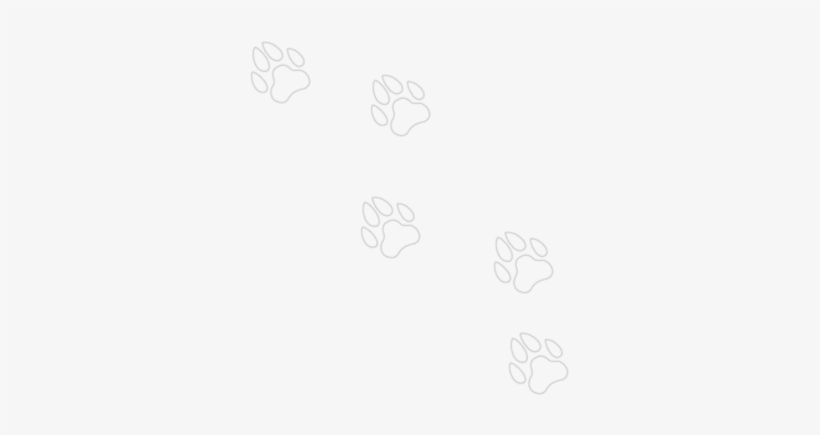Petsforever Paws - Drawing, transparent png