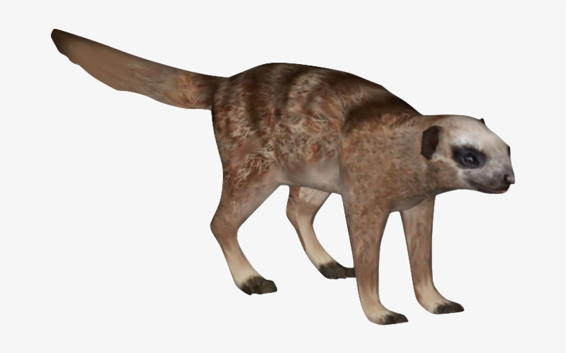 Meerkat - Zt2 Meerkat Aurora Designs, transparent png