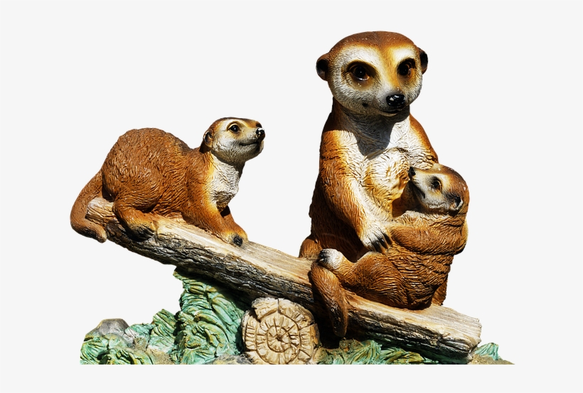 The Meerkat Or Suricate Is A Small Carnivoran Belonging - Surikat Transpaarent, transparent png