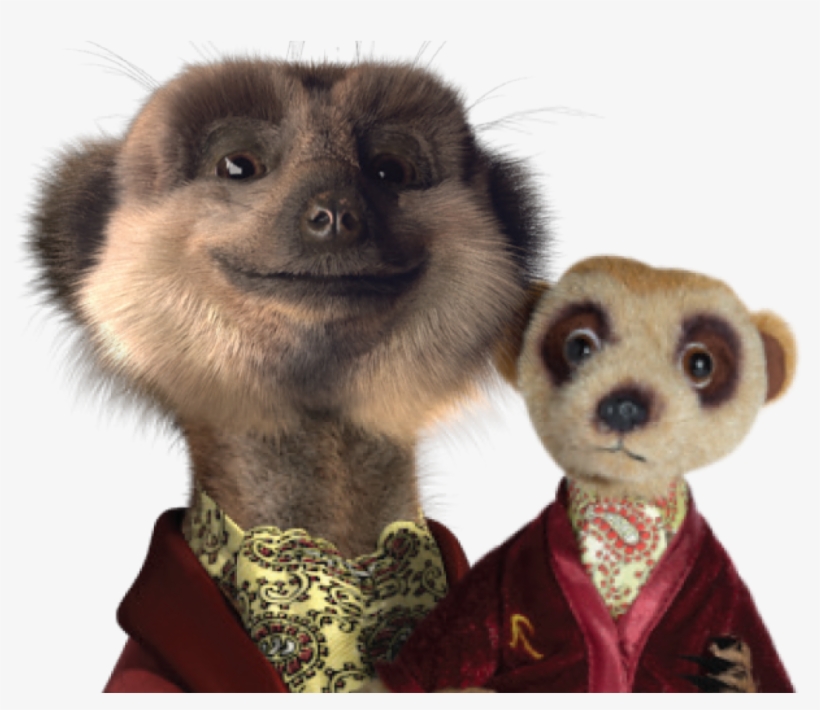 Au Rewards Aussie Households With Meerkat Giveaway - Comparethemarket, transparent png