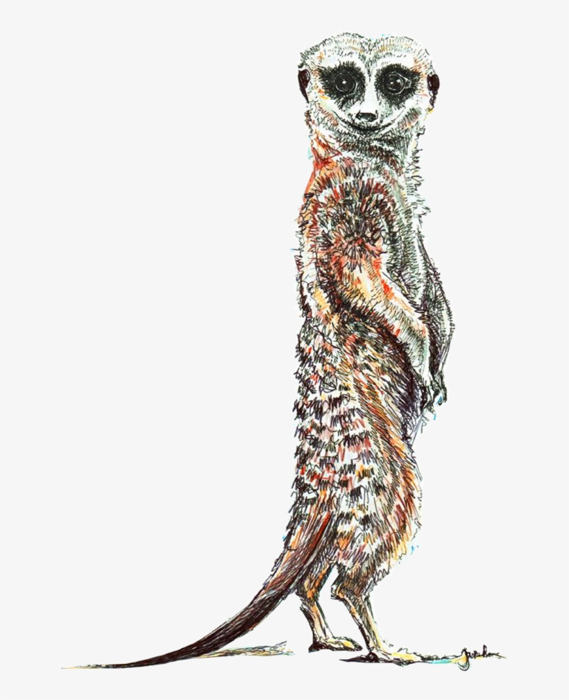 Hand Drawn Illustration - Illustration, transparent png