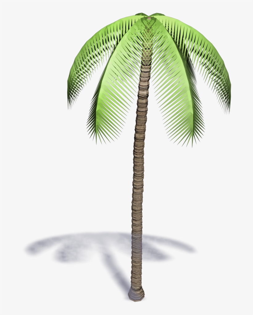 Palm Tree - 3d Palm Tree Bim Png, transparent png