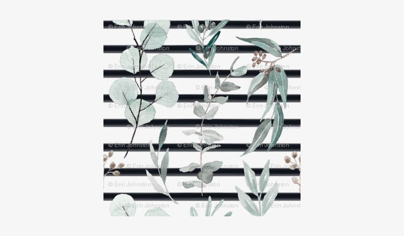 Eucalyptus Edition 3 Black Stripe Back - Gum Trees, transparent png