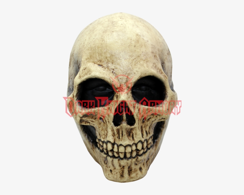 Bone Skull Mask - Abdel K, transparent png