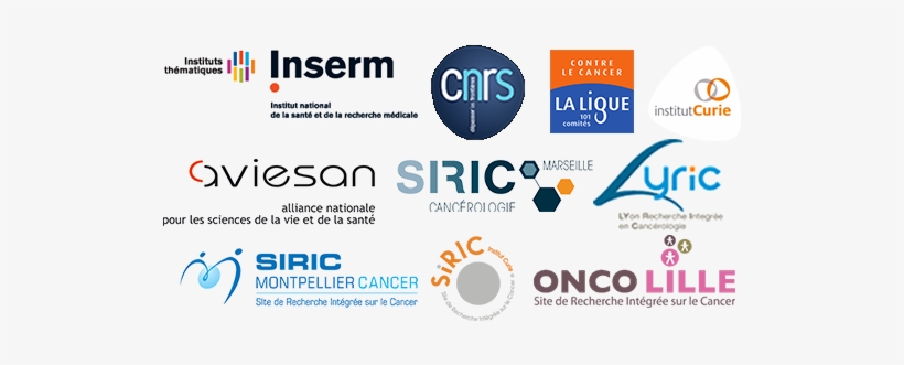 Dingo Meeting Sponsors - Siric Montpellier, transparent png