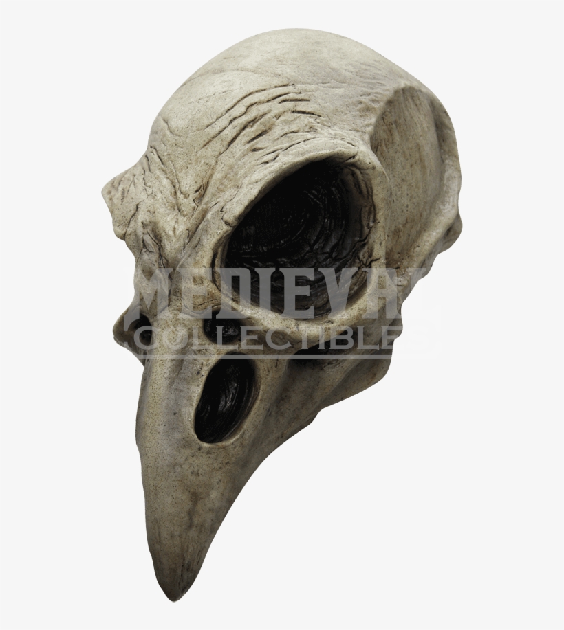 Crow Skull Mask - Crow Skull, transparent png