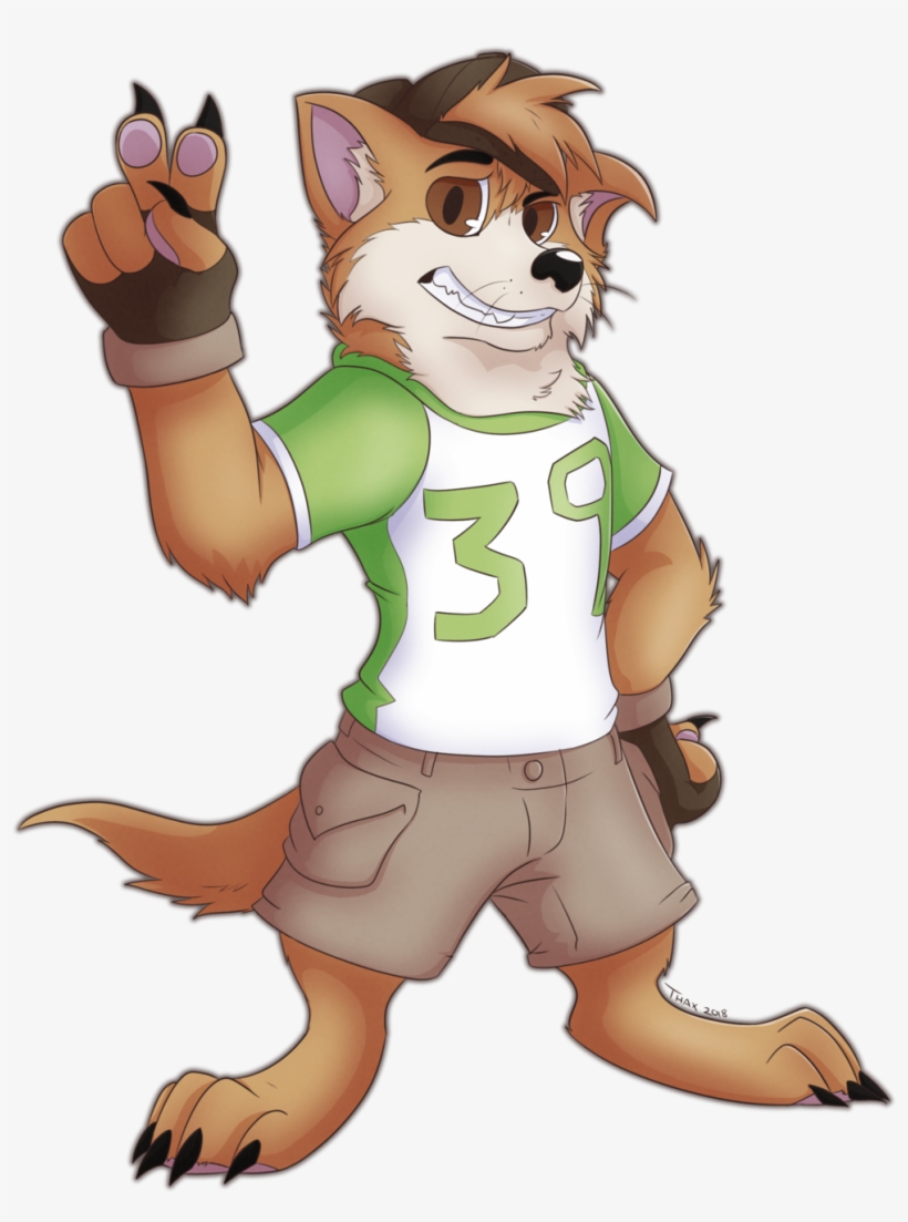 Rory The Dingo - Dog, transparent png