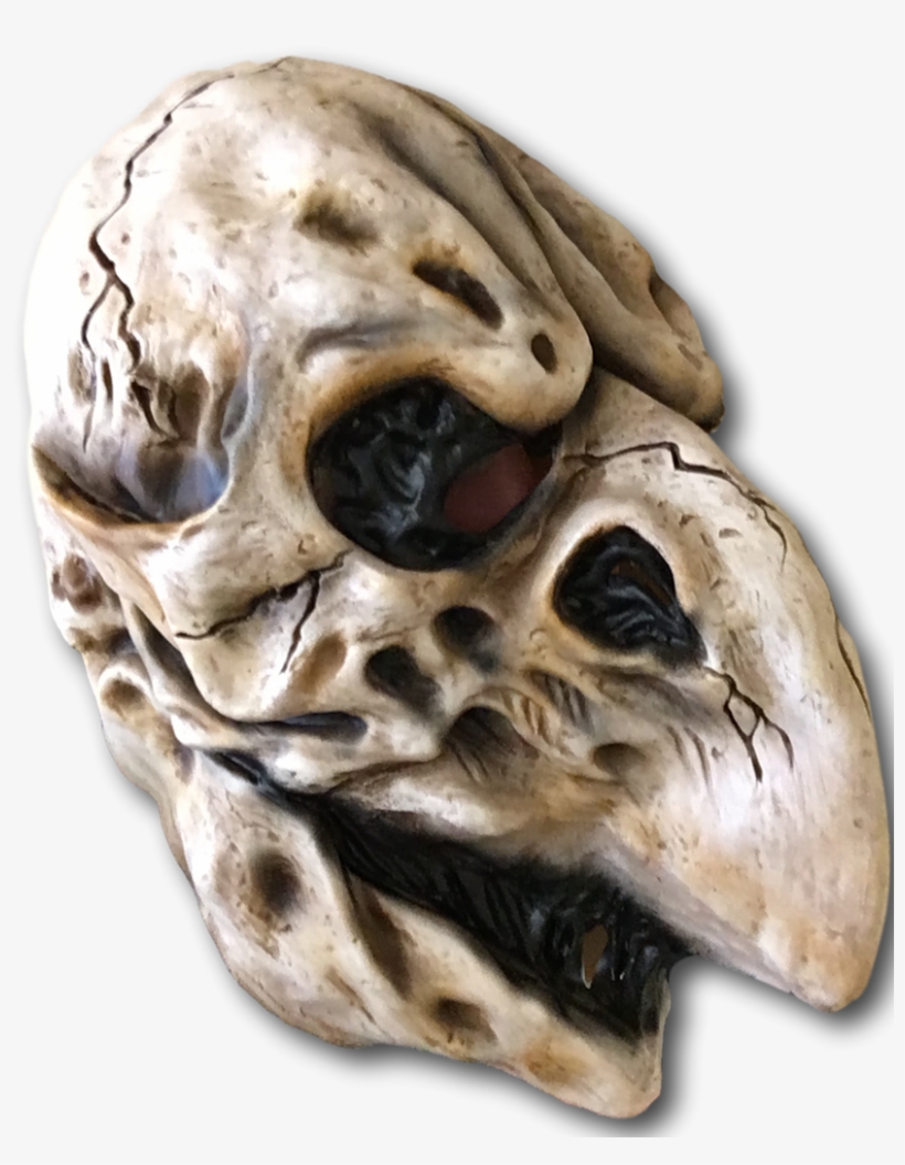 Crow Skull Mask - Crow Skull Mask Adult, transparent png