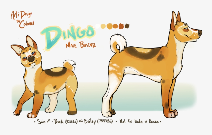 Dingo, Is In Fact, Not A Dingo At All - Basenji, transparent png