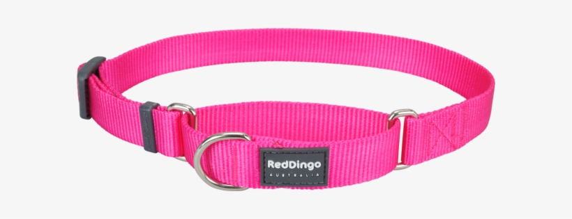Red Dingo Classic Martingale Dog Collar - Red Dingo Hot Pink Large Martingale Collar, transparent png