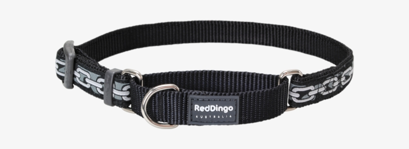 Red Dingo Designer Martingale Dog Collar - Red Dingo Designer Martingale Dog Collar, Small, Chain, transparent png