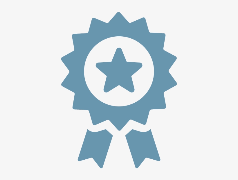 Focused On Quality Icon - Awards 101: The Missing Manual For Awards Professionals, transparent png
