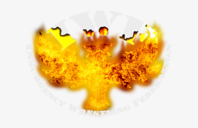 Insurgency Wrestling Federation - Explosions, transparent png