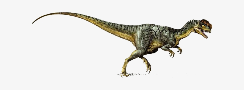 Dilophosaur - Dinosaurs Dilophosaurus, transparent png